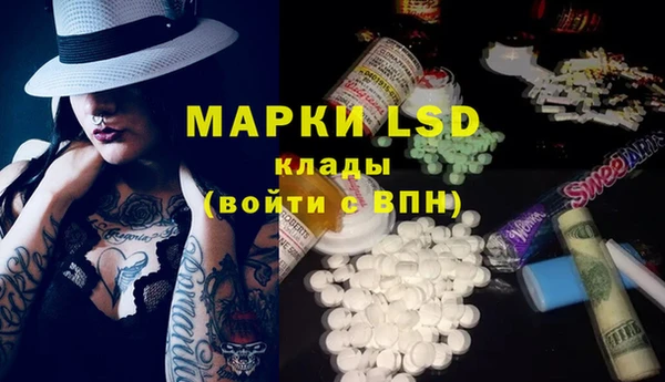 ГАЛЛЮЦИНОГЕННЫЕ ГРИБЫ Заволжье