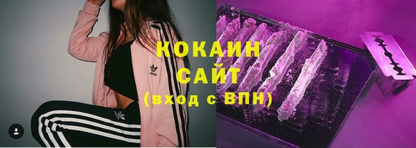ГАЛЛЮЦИНОГЕННЫЕ ГРИБЫ Заволжье