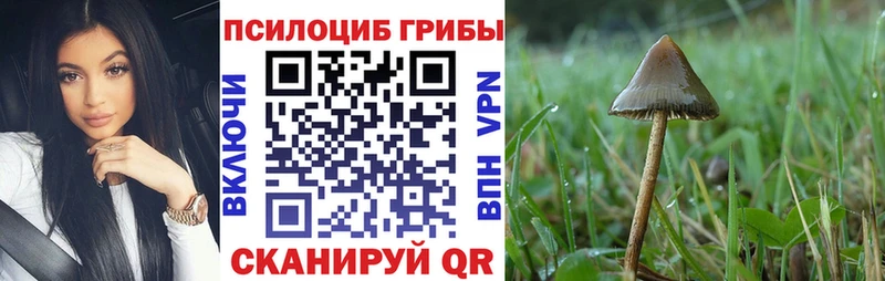 Псилоцибиновые грибы Psilocybine cubensis цены наркотик Калач
